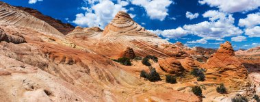 Coyote Buttes North 'ta canlı kumtaşı oluşumu. Bu oluşumlar Kanab, Utah ve Page, Arizona şehirleri arasındaki Paria Canyon-Vermilion Cliffs Wilderness 'de görülebilir. ABD. Panorama