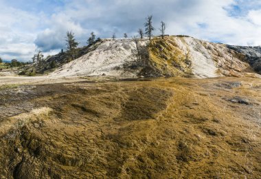 Mammoth Hot Springs, Yellowstone Ulusal Parkı 'nda canlı teraslar kaya oluşumları. ABD