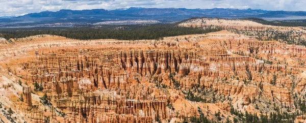 Anfiteatro Visto Desde Bryce Point Tarde Bryce Canyon National Park — Foto de Stock