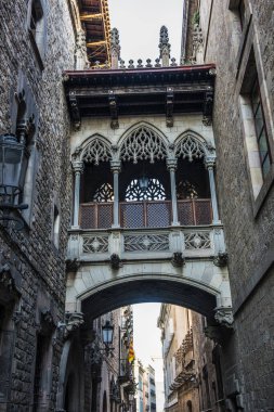 Bishop Köprüsü veya Pont del Bisbe, İspanya 'nın Barcelona bölgesindeki Casa dels Canonges ve Palau de la Generalitat binalarını birbirine bağlayan ünlü mimari özelliktir. Joan Rubi tarafından 1928 'de inşa edildi..