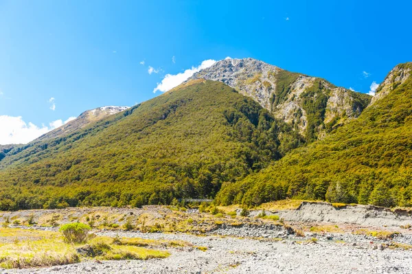 Bealey River Could Found Arthur Pass National Park New Zealand — Stock Photo, Image