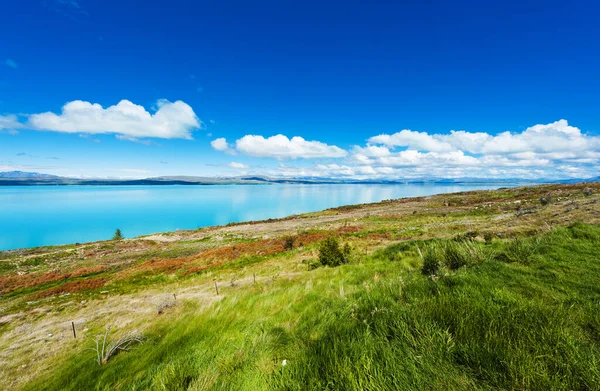 ニュージーランドの美しい信じられないほど青い湖プカキ — ストック写真