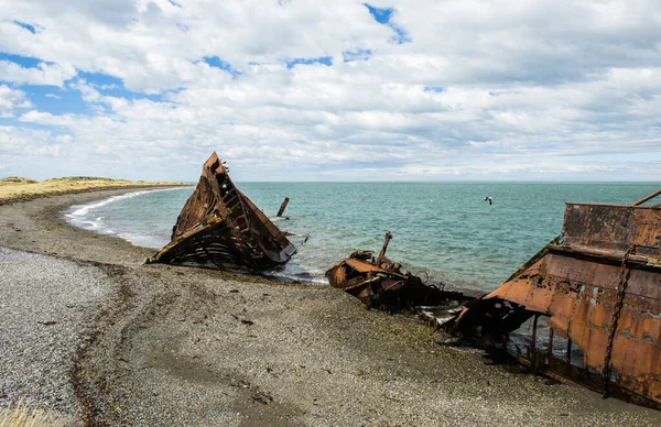 Wreck Amadeo Steamship Build 19Th Century United Kingdom 1932 Beached — Stock Photo, Image