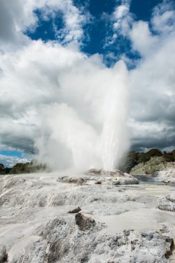 Pohutu ve Galler Prensi geysers 
