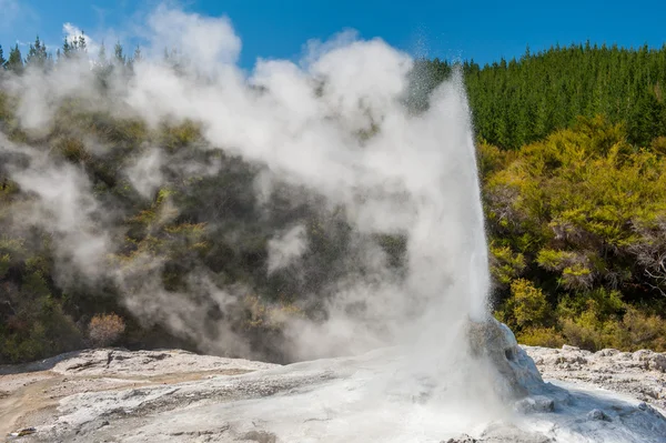 Ledy Knox Geyser — Photo