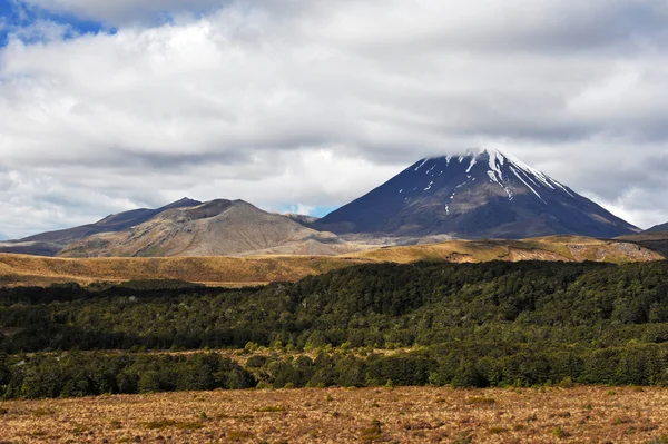 Ngauruhoe-bjerget - Stock-foto