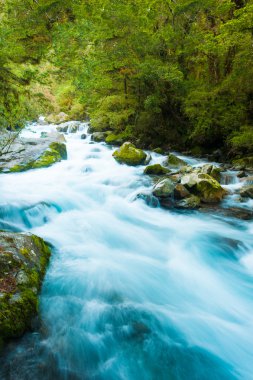 Marian Creek 