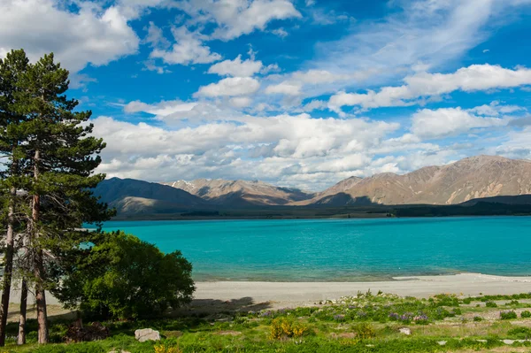 Tekapo Gölü — Stok fotoğraf