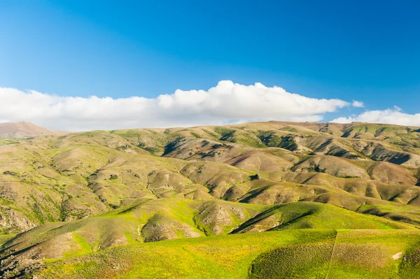 Wzgórza w Nowej Zelandii — Zdjęcie stockowe