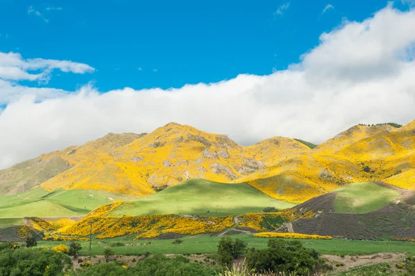 뉴질랜드의 산맥 — 스톡 사진