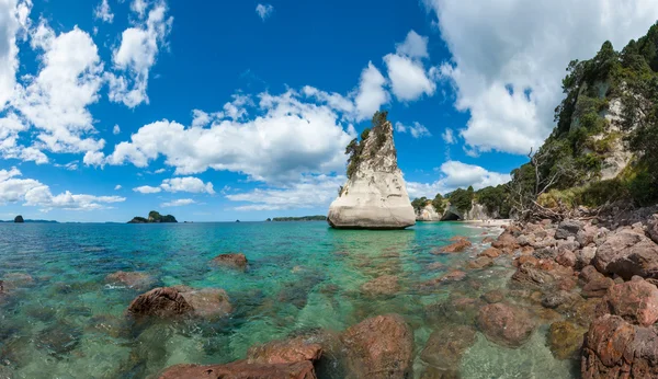 Coromandel — Stock Photo, Image