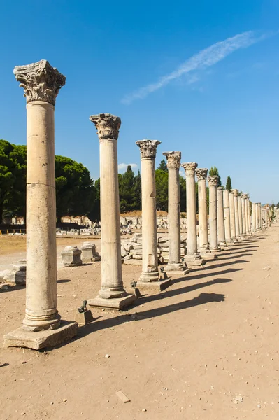 Kolumner i Efesos — Stockfoto