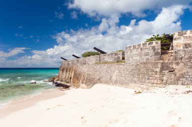 Needham'ın noktası