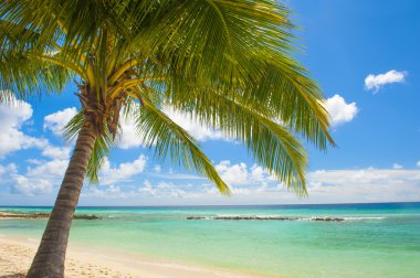 Barbados