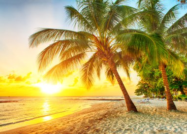 Barbados
