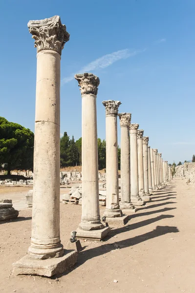 Efes sütun — Stok fotoğraf