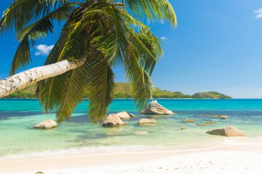 Anse Boudin