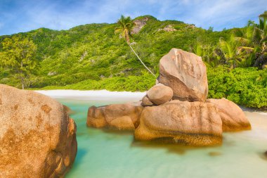 Anse Coco