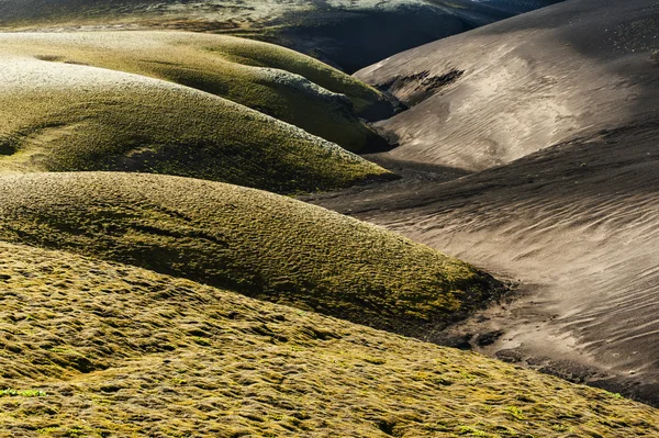 Sanddynerna i två färger — Stockfoto