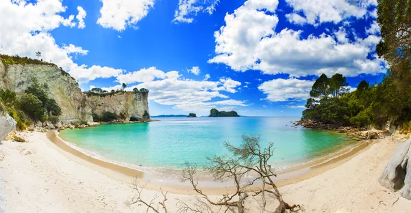 Coromandel — Fotografia de Stock