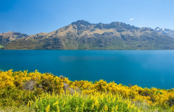 Jezioro wakatipu — Zdjęcie stockowe