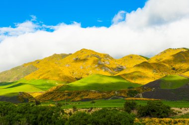 Yeni Zelanda dağları