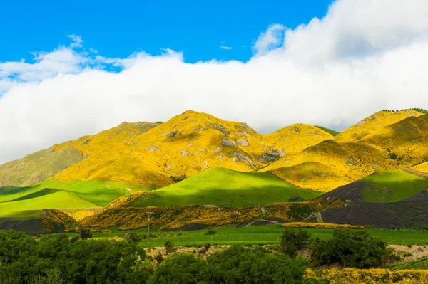 Mountains of New Zealand — Stock Photo, Image