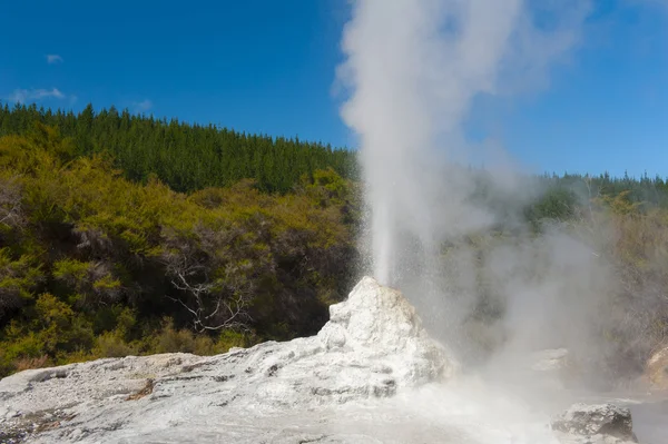 Geyser ledy knox — Fotografia de Stock