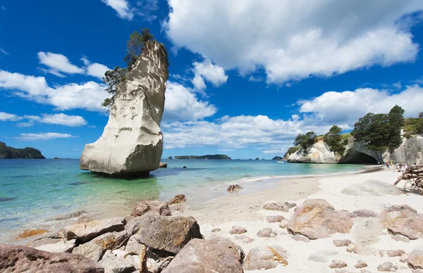 Coromandel — Stock Photo, Image