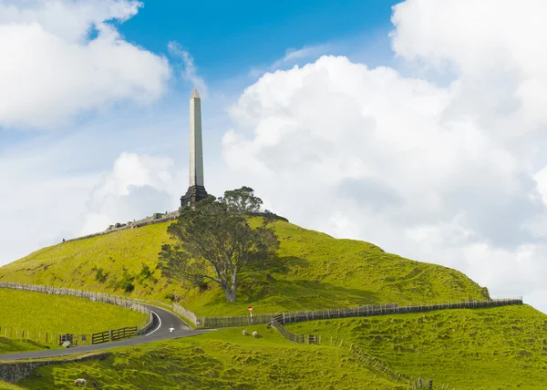 En tree hill — Stockfoto