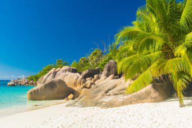 Anse Lazio