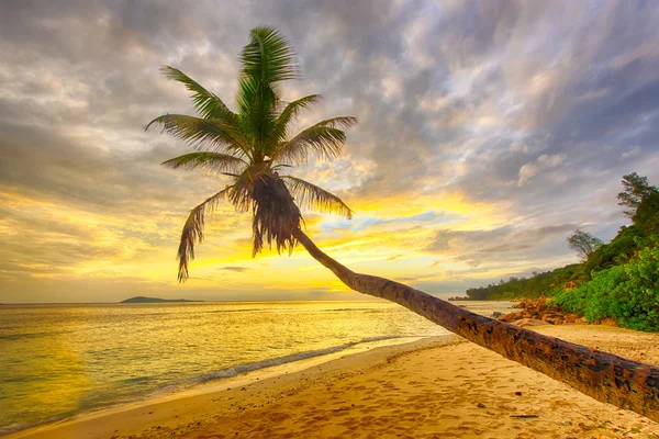 Barbados — Fotografia de Stock