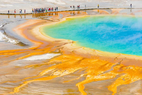 Źródło Grand prismatic spring — Zdjęcie stockowe