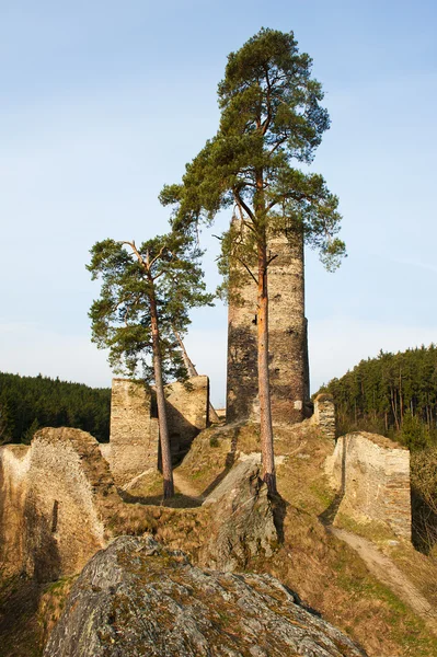 Gutstejn — Stockfoto