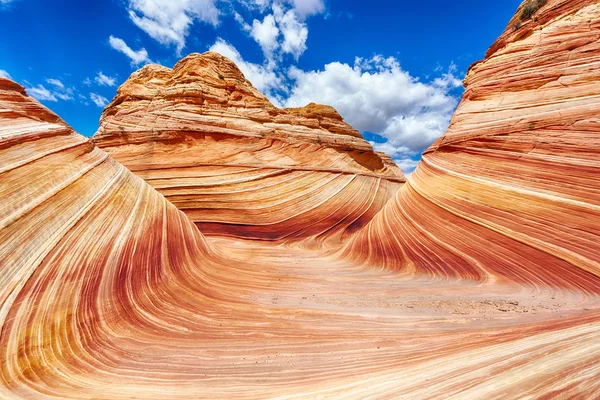 The Wave — Stock Photo, Image