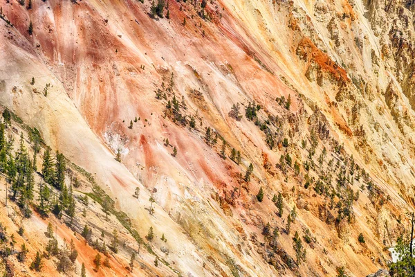 Grand canyon van de yellowstone — Stockfoto