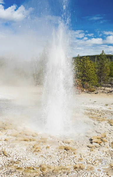 Vixen Geyser — Stock Photo, Image