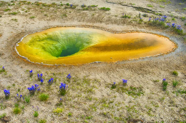 Primavera calda — Foto Stock