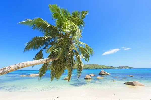 Anse Boudin — Stockfoto