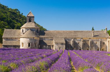 senanque Manastırı