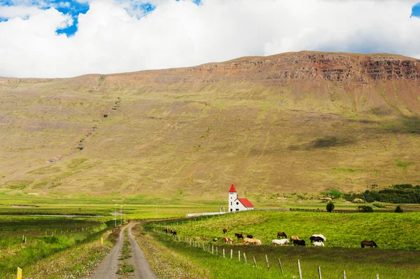 Iglesia en Islandia — Foto de Stock