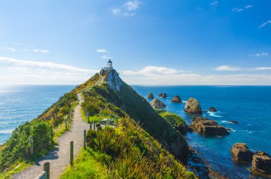 Nugget Point in New Zealand clipart