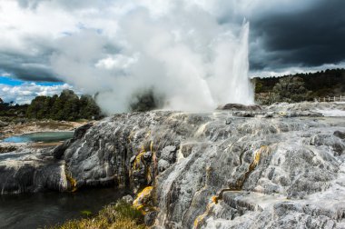Pohutu ve Galler Prensi geysers