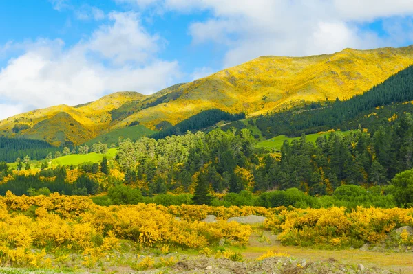 Yeni Zelanda dağları — Stok fotoğraf