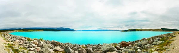 Pappagallo Nestor Notabilis Kea in Nuova Zelanda — Foto Stock