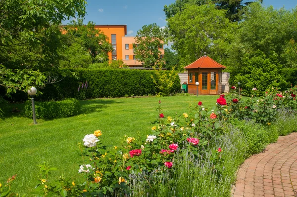 Garden with roses — Stock Photo, Image