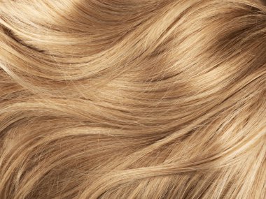 Uzun sarı insan saçı.