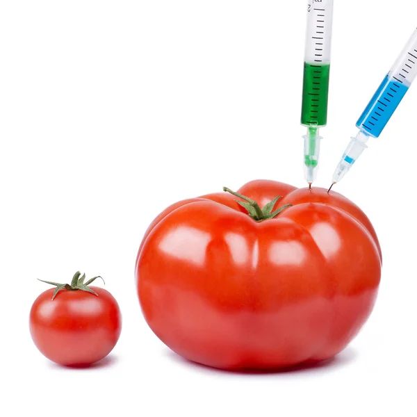 Genetically modified organism — Stock Photo, Image