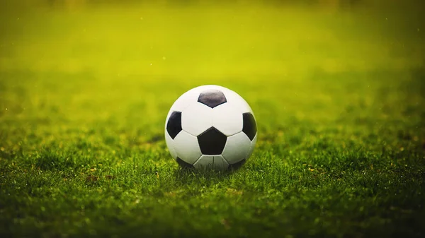 Classic soccer ball, typical black and white hexagon pattern, placed on the green grass stadium turf. Traditional football playing ball on natural lawn with copy space for announcement and advertising