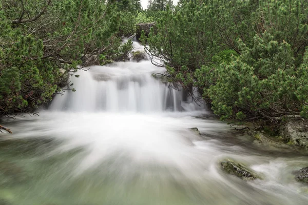 Flod i nationalparken rila — Stockfoto